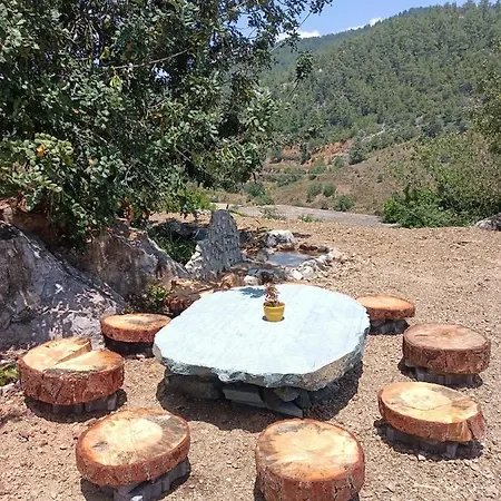 Herguel Village Gazipaşa