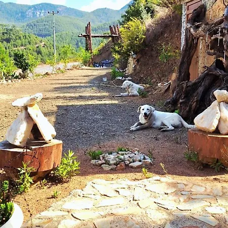 Herguel Village Gazipaşa