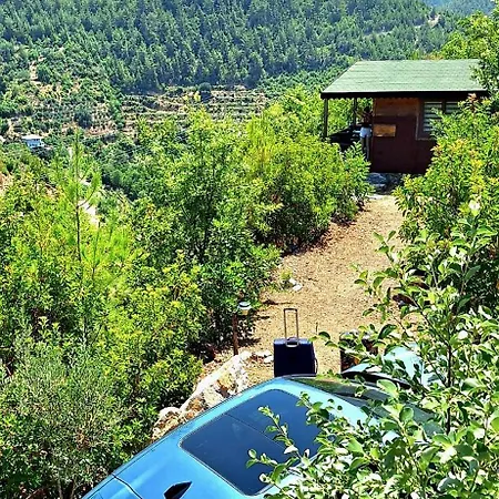 Herguel Village Σαλέ Gazipasa