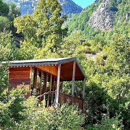 Herguel Village * Gazipaşa