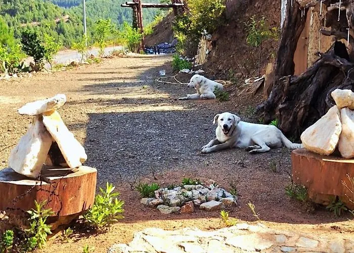 Herguel Village Gazipasa